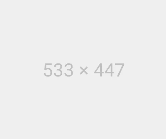 demo5-ct-img3